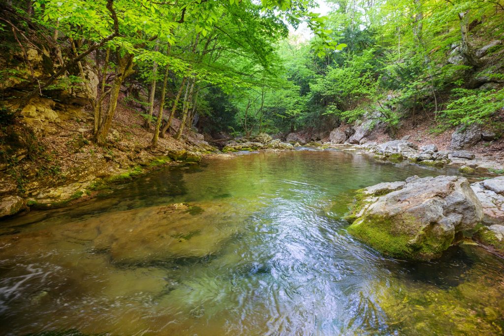 Discover the Natural Charms and Hidden Gems of Hill Country