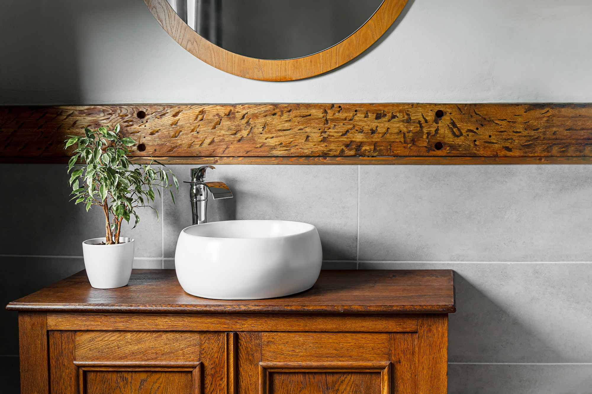 Bathroom interior with ficus